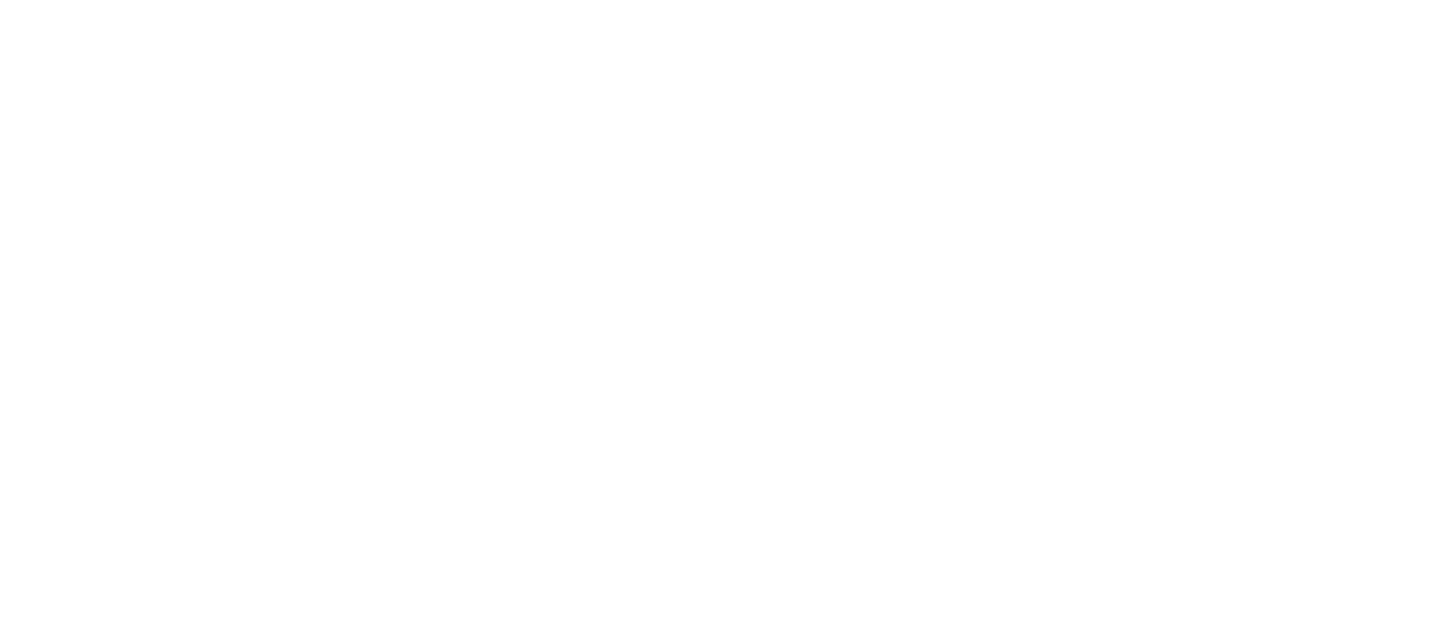 BVLKS e.V. Logo